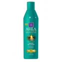 Dark and Lovely Amla Legend Damage Anti-Dote - Lotion Anti-Casse